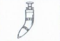 Federal Democratic National Forum