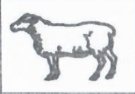 Gandhibadi Party Nepal