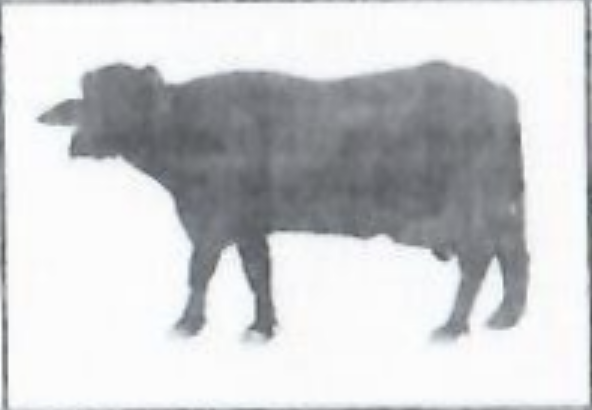 Janata Loktantrik Party, Nepal