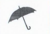 Janata Samajwadi Party, Nepal