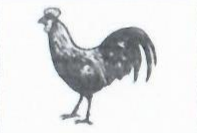 Mongol National Organization