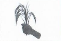 Nagarik Sarwochhata Party Nepal