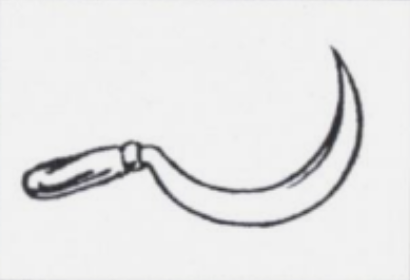 Nepal Communist Party (United)