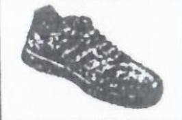 Nepal Janasewa Party