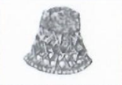 Nepal Janata Sanrakshan Party