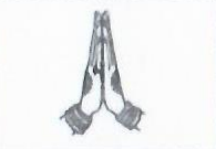 Nepal Loktantrik Party