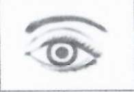 Progressive Democratic Party