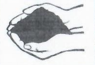 Shram Sanskriti Party